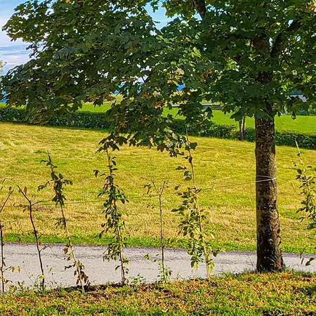 度假居 Wildkraeuterweg 14